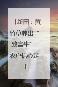 新田：黄竹草养出“致富牛” 农户信心足
