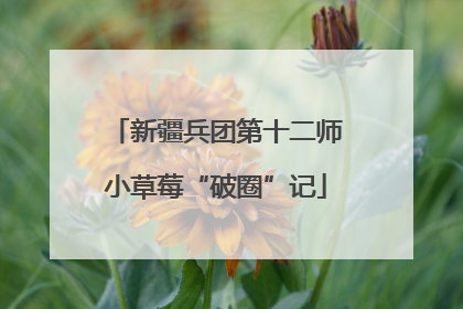 新疆兵团第十二师小草莓“破圈”记