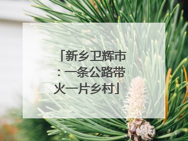 新乡卫辉市：一条公路带火一片乡村