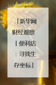 新华网财经观察丨便利店：寻找生存坐标