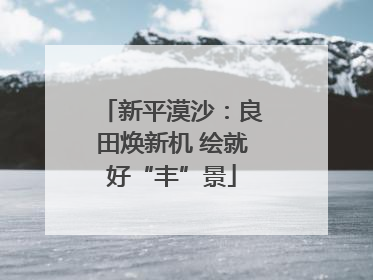 新平漠沙：良田焕新机 绘就好“丰”景