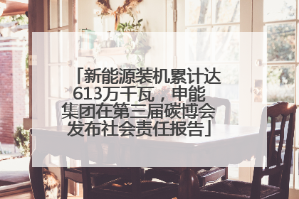 新能源装机累计达613万千瓦，申能集团在第三届碳博会发布社会责任报告