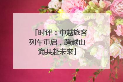 时评：中越旅客列车重启，跨越山海共赴未来