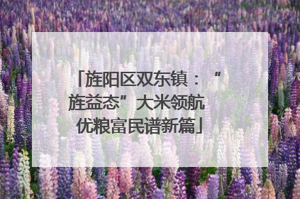旌阳区双东镇：“旌益态”大米领航 优粮富民谱新篇