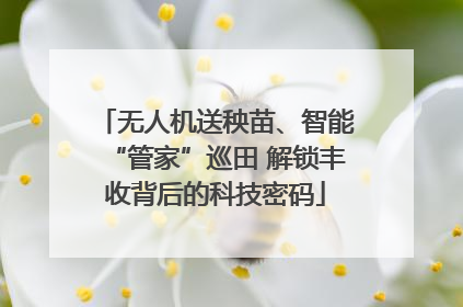 无人机送秧苗、智能“管家”巡田 解锁丰收背后的科技密码
