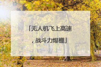无人机飞上高速，战斗力爆棚