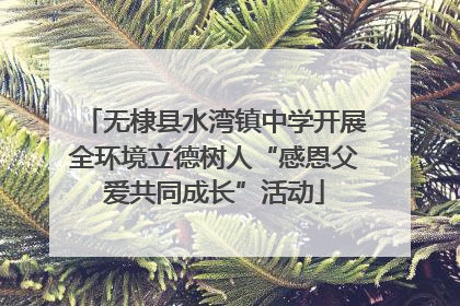 无棣县水湾镇中学开展全环境立德树人“感恩父爱共同成长”活动