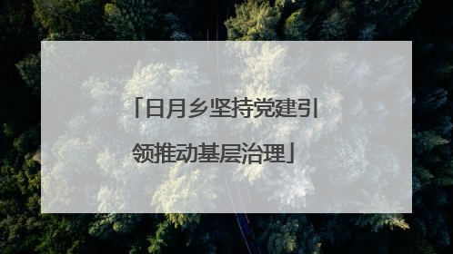 日月乡坚持党建引领推动基层治理