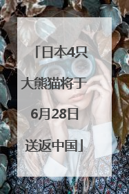 日本4只大熊猫将于6月28日送返中国
