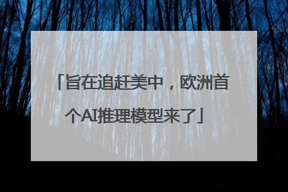 旨在追赶美中，欧洲首个AI推理模型来了