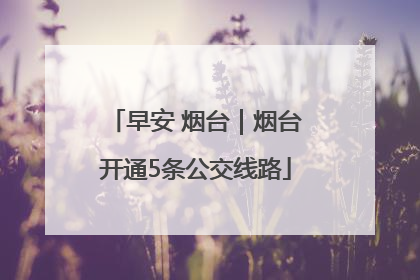 早安 烟台｜烟台开通5条公交线路