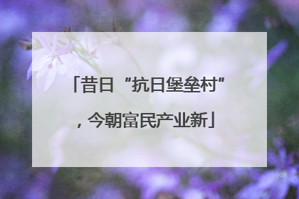 昔日“抗日堡垒村”，今朝富民产业新