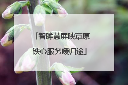 智眸慧屏映草原 铁心服务暖归途