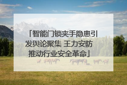 智能门锁夹手隐患引发舆论聚集 王力安防推动行业安全革命