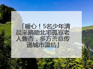 暖心！5名少年清晨采摘助北宅孤寡老人售杏，多方善意传递城市温情