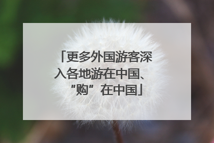 更多外国游客深入各地游在中国、“购”在中国