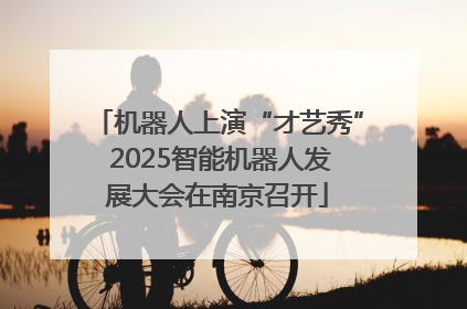 机器人上演“才艺秀” 2025智能机器人发展大会在南京召开