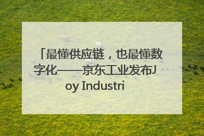 最懂供应链，也最懂数字化——京东工业发布Joy Industrial 重塑工业未来
