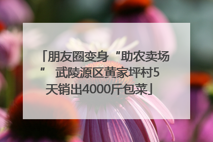 朋友圈变身“助农卖场” 武陵源区黄家坪村5天销出4000斤包菜
