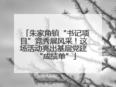 朱家角镇“书记项目”竞秀展风采！这场活动亮出基层党建“成绩单”