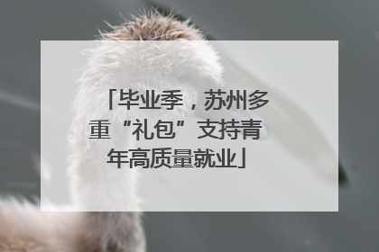 毕业季，苏州多重“礼包”支持青年高质量就业