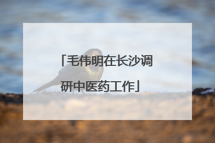 毛伟明在长沙调研中医药工作