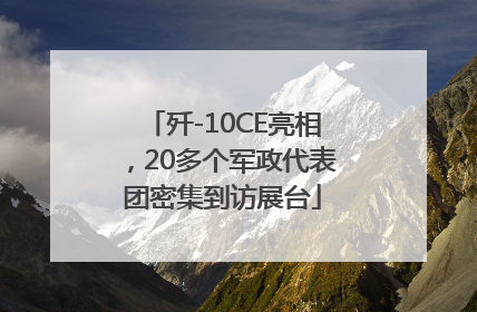 歼-10CE亮相，20多个军政代表团密集到访展台