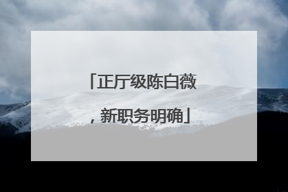 正厅级陈白薇，新职务明确
