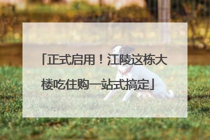 正式启用！江陵这栋大楼吃住购一站式搞定