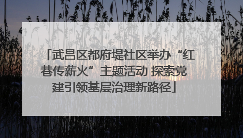 武昌区都府堤社区举办“红巷传薪火”主题活动 探索党建引领基层治理新路径