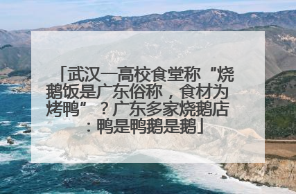 武汉一高校食堂称“烧鹅饭是广东俗称，食材为烤鸭”？广东多家烧鹅店：鸭是鸭鹅是鹅