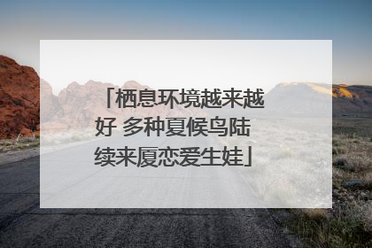 栖息环境越来越好 多种夏候鸟陆续来厦恋爱生娃