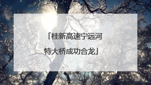 桂新高速宁远河特大桥成功合龙