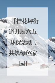 桂花坪街道开展六五环保活动，共筑绿色家园