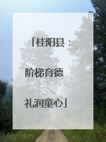 桂阳县：阶梯育德 礼润童心