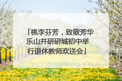 桃李芬芳，致敬芳华 乐山井研研城初中举行退休教师欢送会