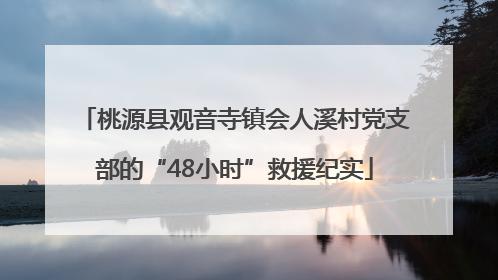 桃源县观音寺镇会人溪村党支部的“48小时”救援纪实