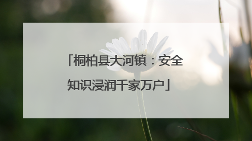 桐柏县大河镇：安全知识浸润千家万户
