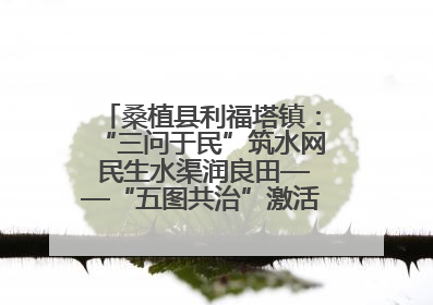 桑植县利福塔镇：“三问于民”筑水网 民生水渠润良田——“五图共治”激活基层治理新动能