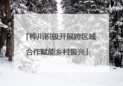 桦川积极开展跨区域合作赋能乡村振兴