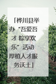桦川县举办“吾爱吾才 粽享欢乐”活动 厚植人才服务沃土