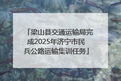 梁山县交通运输局完成2025年济宁市民兵公路运输集训任务