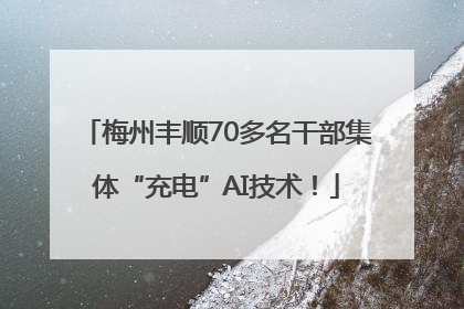 梅州丰顺70多名干部集体“充电”AI技术！