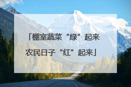 棚室蔬菜“绿”起来 农民日子“红”起来