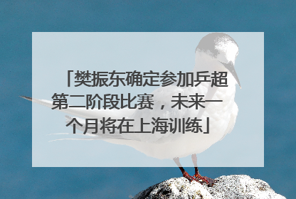 樊振东确定参加乒超第二阶段比赛，未来一个月将在上海训练