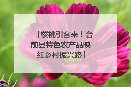 樱桃引客来！台前县特色农产品映红乡村振兴路