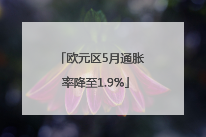 欧元区5月通胀率降至1.9%