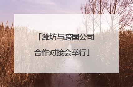 潍坊与跨国公司合作对接会举行