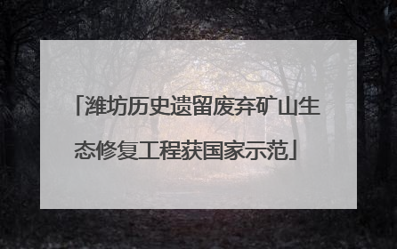 潍坊历史遗留废弃矿山生态修复工程获国家示范