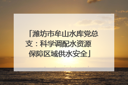 潍坊市牟山水库党总支：科学调配水资源 保障区域供水安全